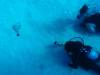 119 - Dive3-2 Kona Big Island Divers