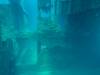 Dive0-2 Prince Albert Wreck-151 Dive0-2 Prince Albert Wreck
