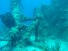 Dive0-2 Prince Albert Wreck-164 Dive0-2 Prince Albert Wreck
