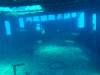 Dive1-3 Mr Bud-107 Dive1-3 Mr Bud