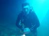 Dive1-4 Mr Bud-110 Dive1-4 Mr Bud