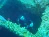 Dive1-4 Mr Bud-111 Dive1-4 Mr Bud