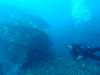 Dive1-4 Mr Bud-137 Dive1-4 Mr Bud