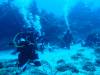 Dive2-1 Cara a Cara-142 Dive2-1 Cara a Cara