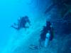 107 - Dive0-2 Prince Albert Wreck