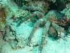 112 - Dive0-2 Prince Albert Wreck