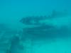 115 - Dive0-2 Prince Albert Wreck