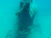 118 - Dive0-2 Prince Albert Wreck