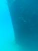124 - Dive0-2 Prince Albert Wreck
