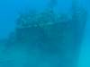 129 - Dive0-2 Prince Albert Wreck
