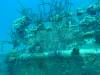 131 - Dive0-2 Prince Albert Wreck