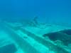 134 - Dive0-2 Prince Albert Wreck