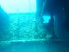 142 - Dive0-2 Prince Albert Wreck