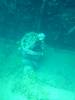146 - Dive0-2 Prince Albert Wreck