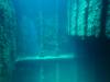 149 - Dive0-2 Prince Albert Wreck