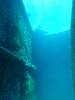 153 - Dive0-2 Prince Albert Wreck