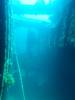 154 - Dive0-2 Prince Albert Wreck