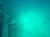 156 - Dive0-2 Prince Albert Wreck