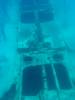 177 - Dive0-2 Prince Albert Wreck