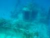 180 - Dive0-2 Prince Albert Wreck