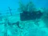 181 - Dive0-2 Prince Albert Wreck