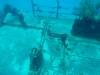 182 - Dive0-2 Prince Albert Wreck