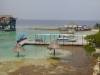 121 - Dive0 Roatan Land