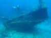 102 - Dive1-3 Mr Bud