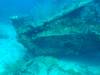 103 - Dive1-3 Mr Bud