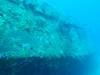 104 - Dive1-3 Mr Bud