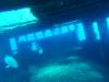 108 - Dive1-3 Mr Bud