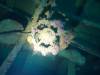 110 - Dive1-3 Mr Bud