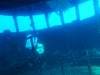 118 - Dive1-3 Mr Bud