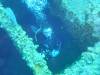 112 - Dive1-4 Mr Bud