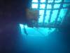 114 - Dive1-4 Mr Bud