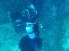 121 - Dive1-4 Mr Bud