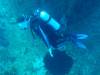 122 - Dive1-4 Mr Bud