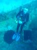 123 - Dive1-4 Mr Bud