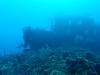 124 - Dive1-4 Mr Bud
