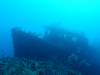 136 - Dive1-4 Mr Bud