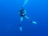 208 - Dive2-1 Cara a Cara