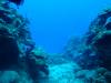116 - Dive2-3 Taviannas Wall