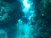 117 - Dive2-3 Taviannas Wall
