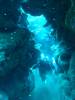 118 - Dive2-3 Taviannas Wall