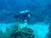 107 - Dive2-4 Taviannas Wall