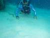 107 - Dive3-3 Teds Point