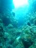 115 - Dive3-3 Teds Point