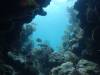 129 - Dive3-3 Teds Point