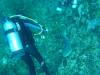 135 - Dive4-1 Cannery Bank