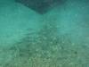 146 - Dive5-1 El Aguila
